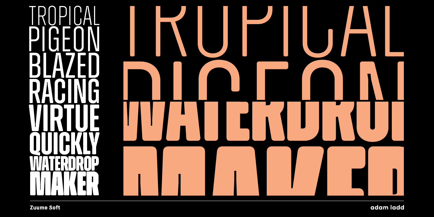 Przykład czcionki Zuume Soft Extra Bold Italic